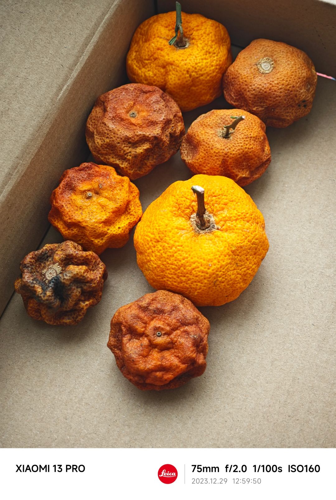 NO.361  风干小橘子