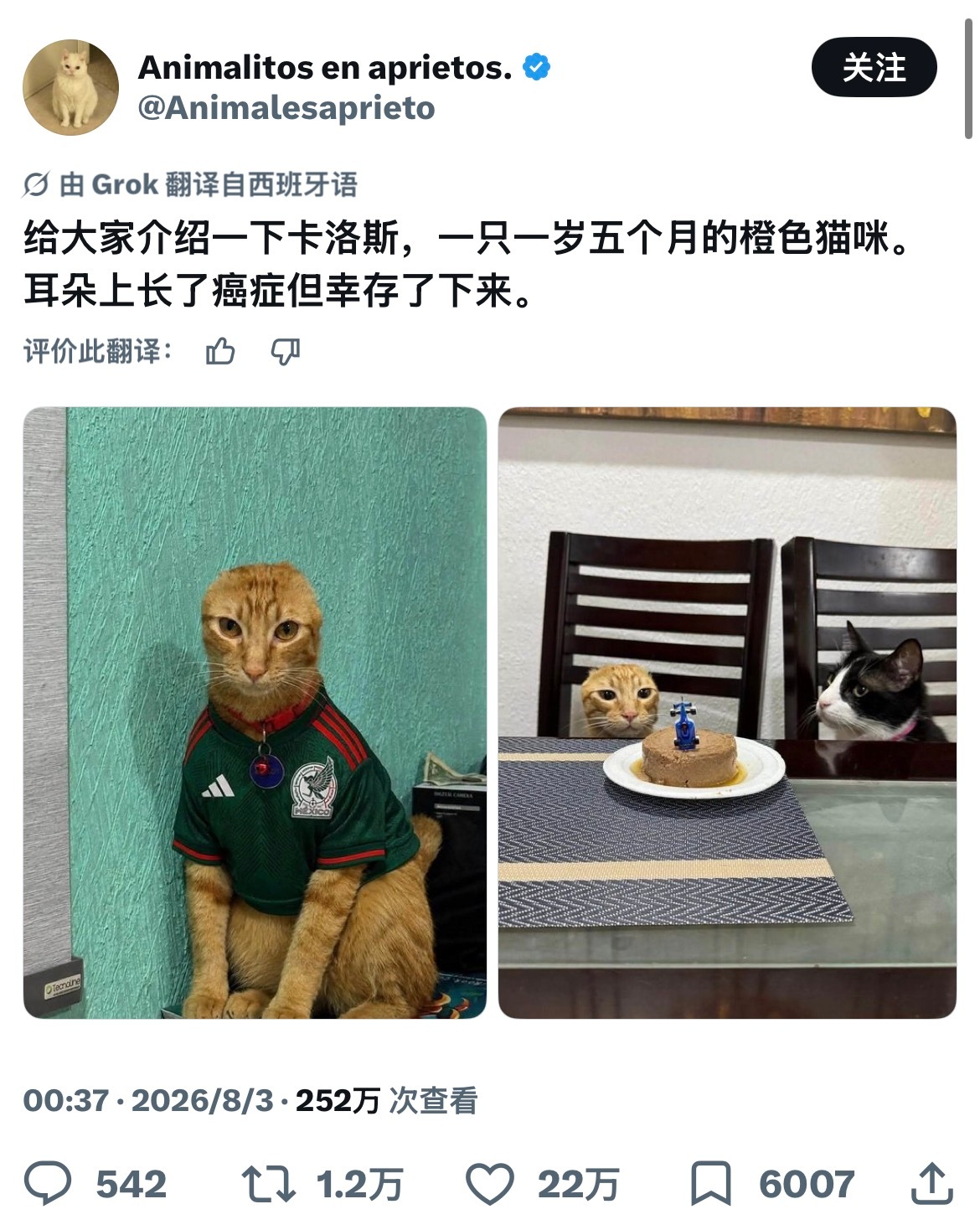 哇 真的假的 