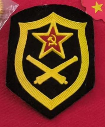 哪位老师知道这是中国人民解放军退役的什么臂章？
