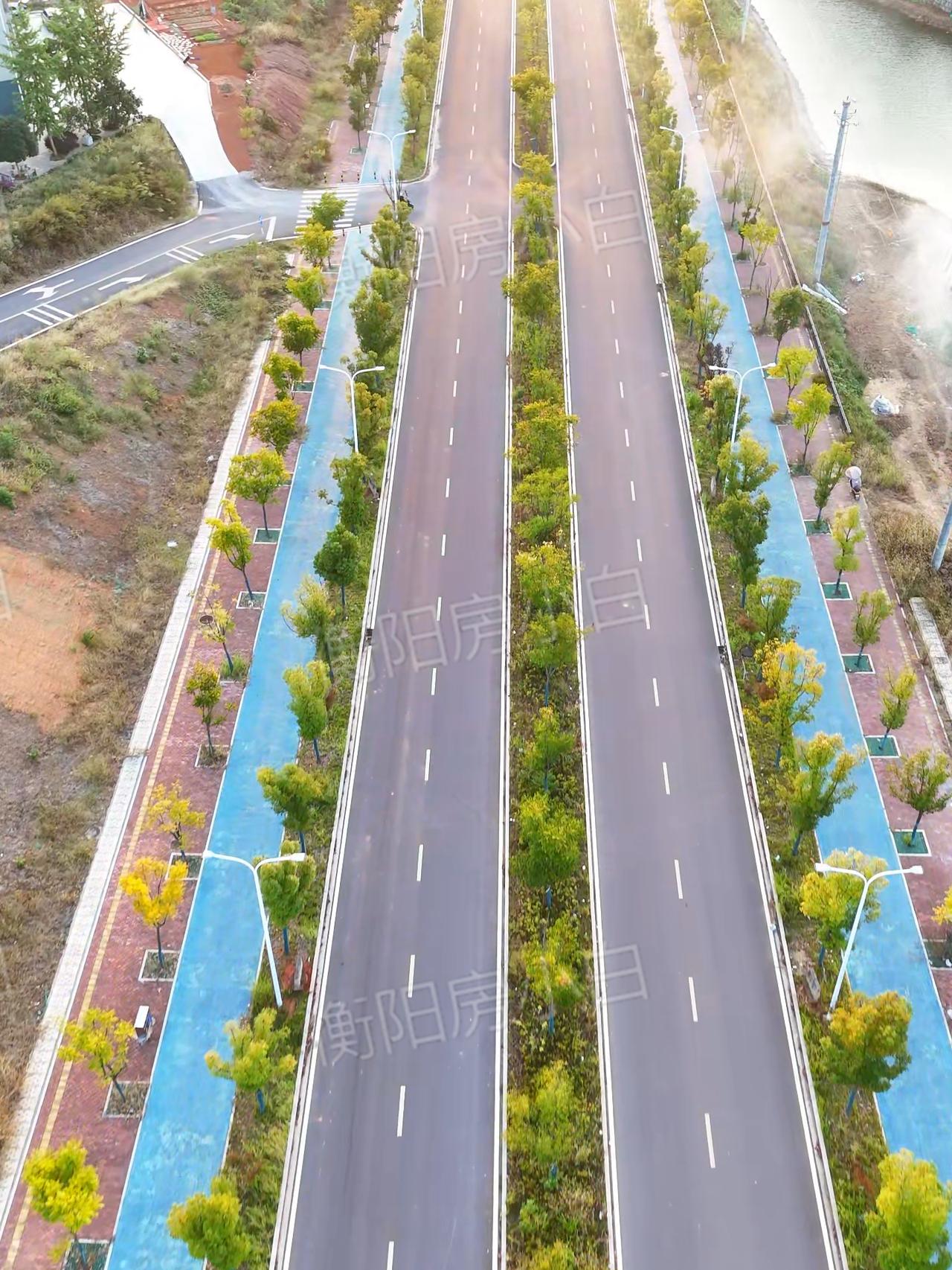 衡阳白沙洲片区重大利好来了！

八中扩建地块紧邻新建的跃林路，这条新建道路打通后
