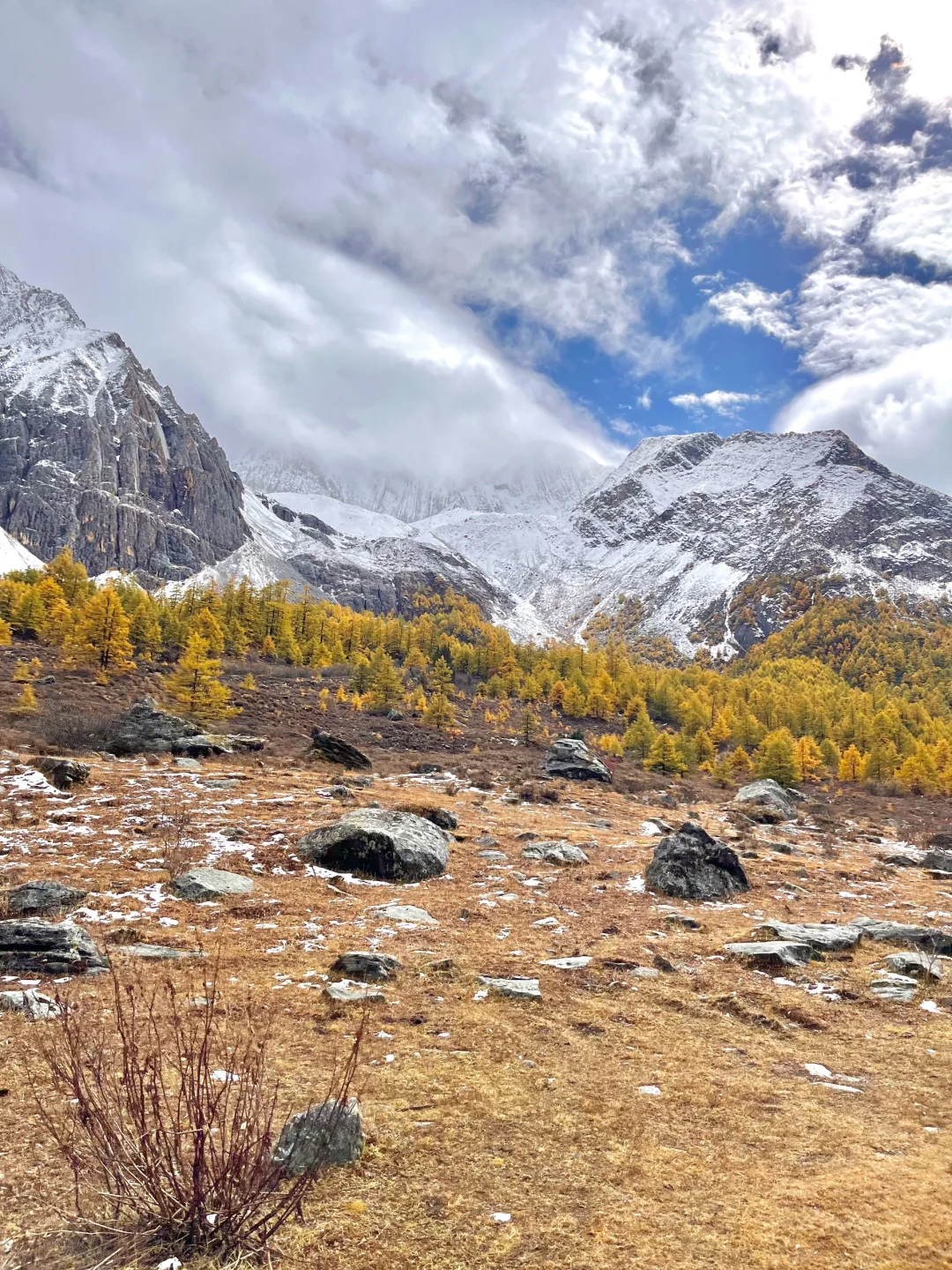 稻城亚丁live图直出～雪山秋景绝了❗️