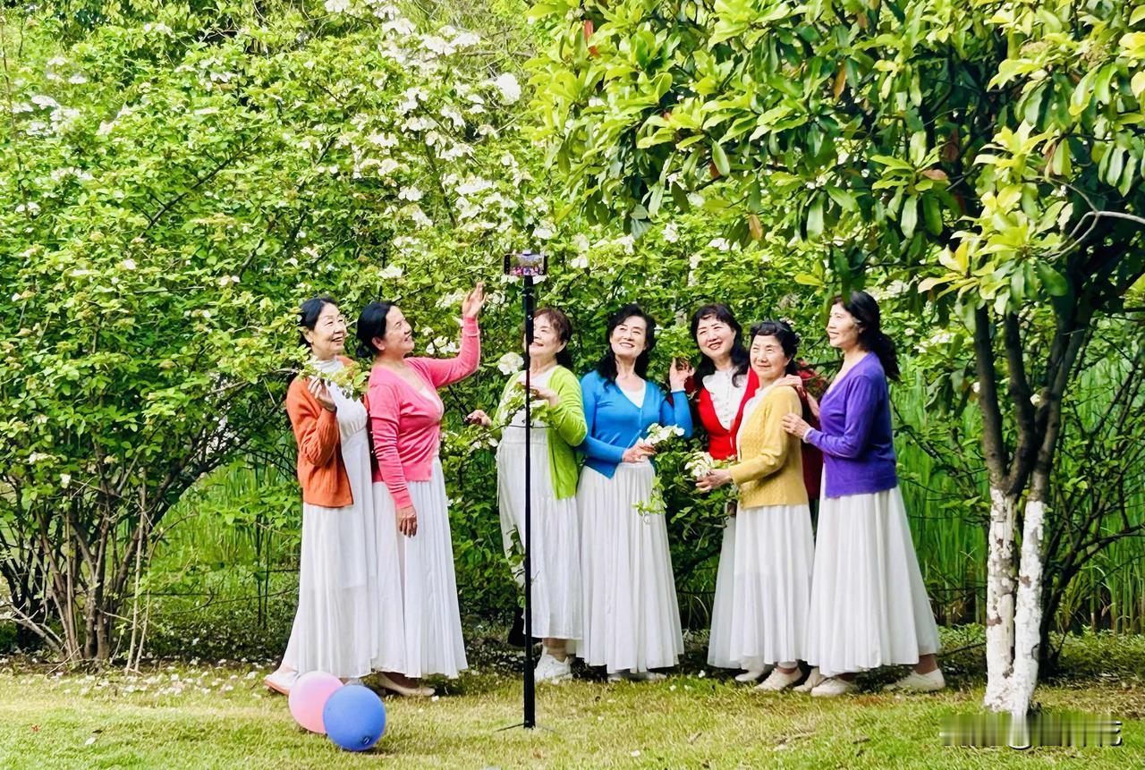 七仙女直播比美—姐妹春日欢聚（随手拍）
孝感乃传说中七仙女下凡之地。那日我于东城