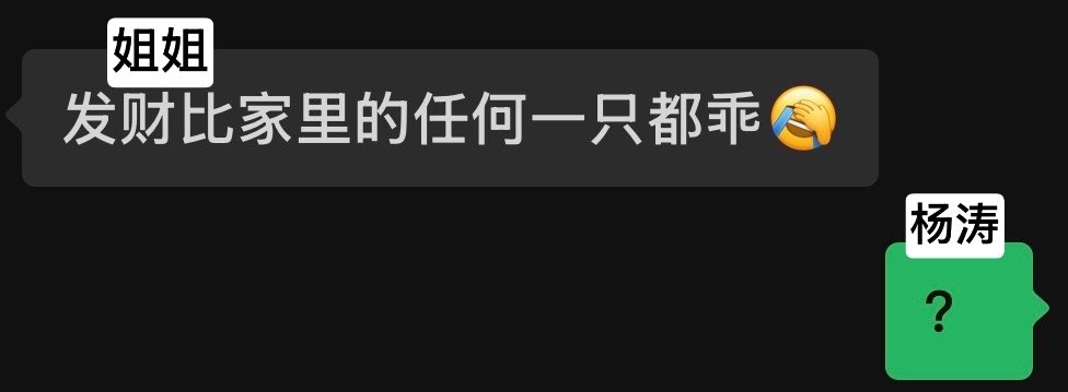 我要被杨涛笑死了 扣问号是啥意思 