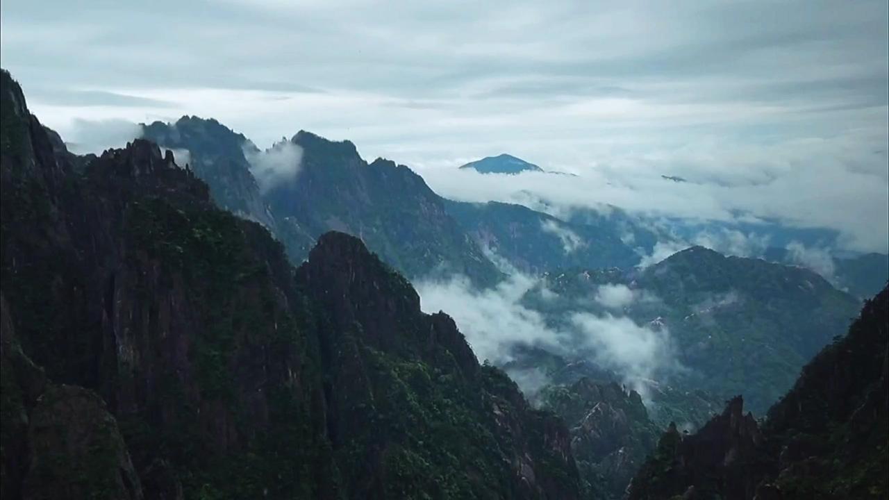 🌿风里有了秋的味道，黄山云海太治愈了
在黄山遇见的云海，像打翻了的牛奶，温柔铺