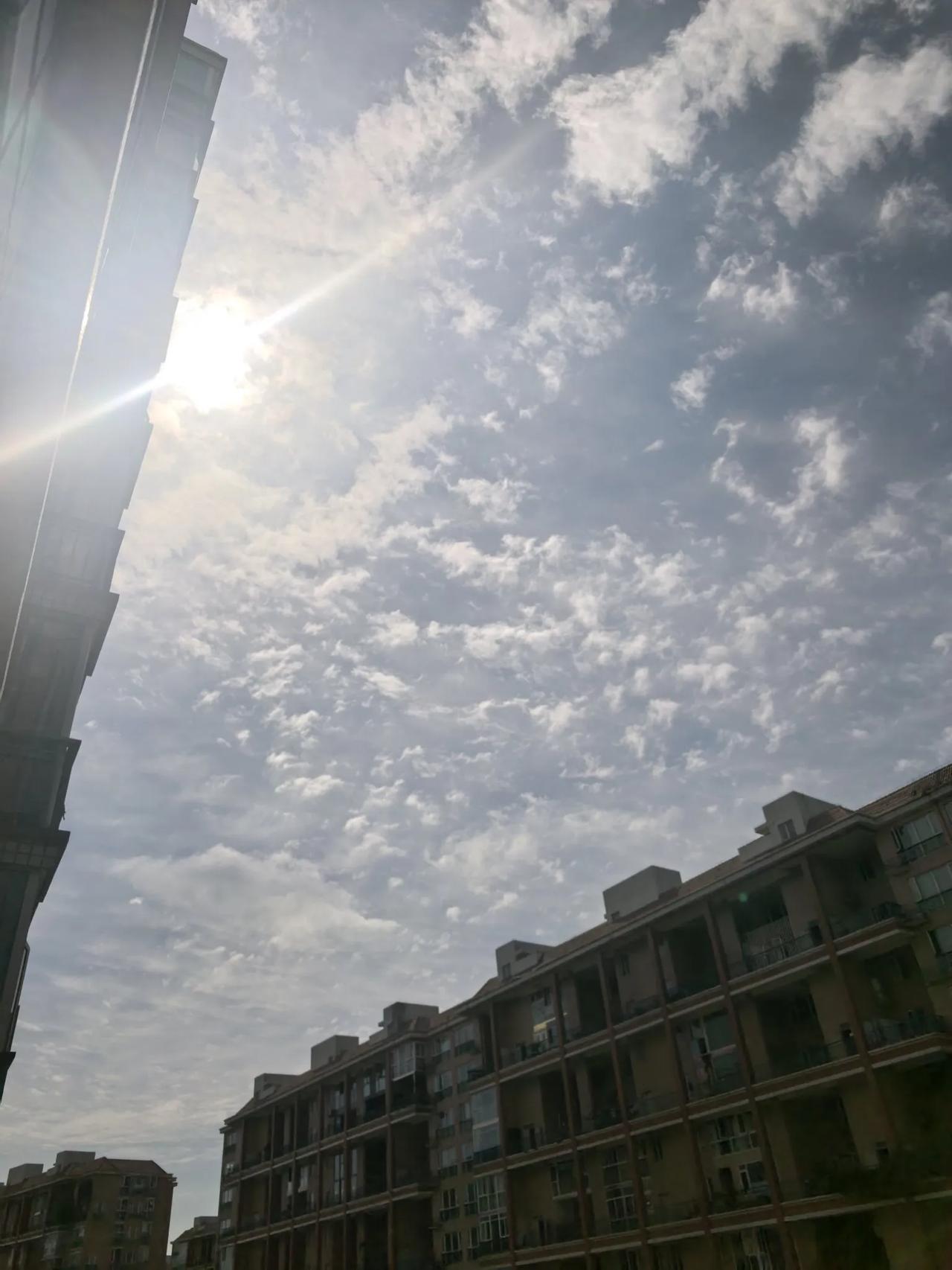 早安，健康中国！
雨后晓风生微甜，杨梅浅绿飞鸟鸣。心中若无攀比事，自是甜蜜好时光