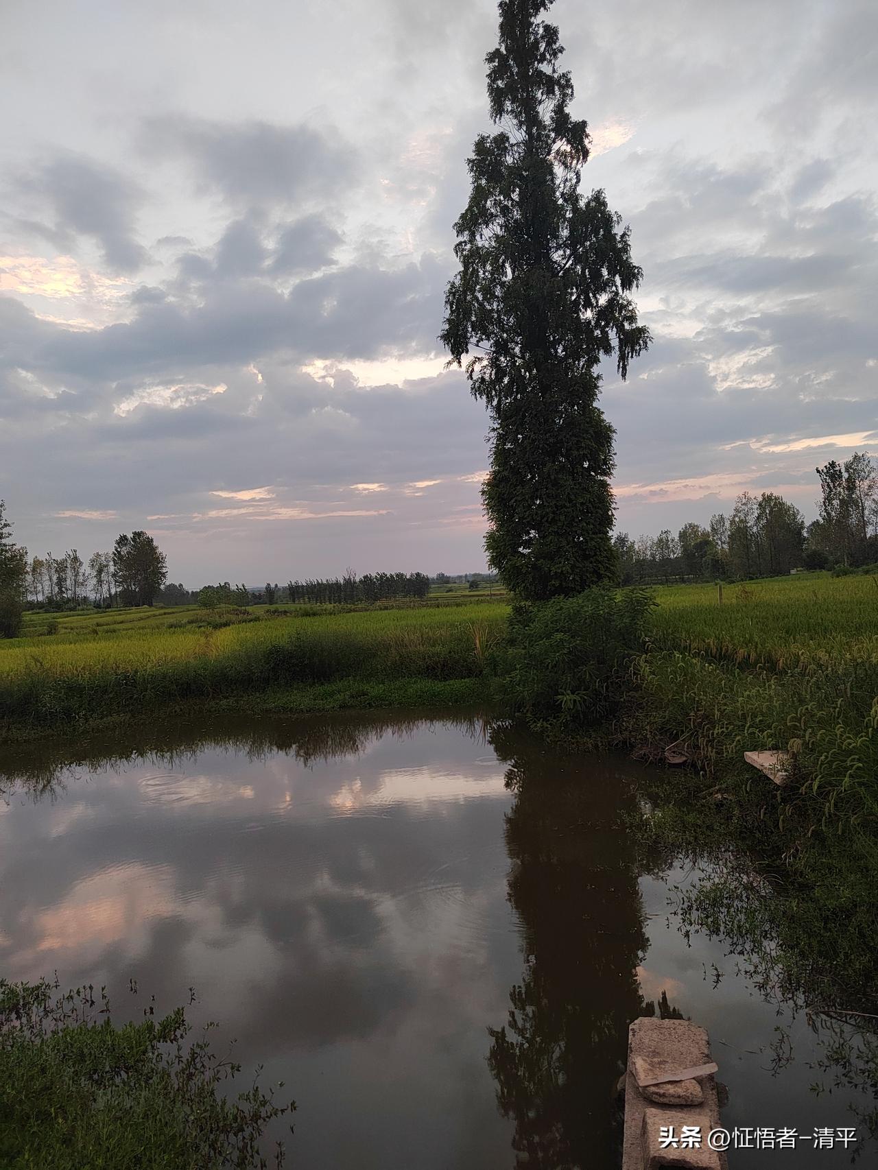 你不是天生苦命，

你是无意识的相信了苦命的偏见、执念、适应了苦命的熟悉感、舒适