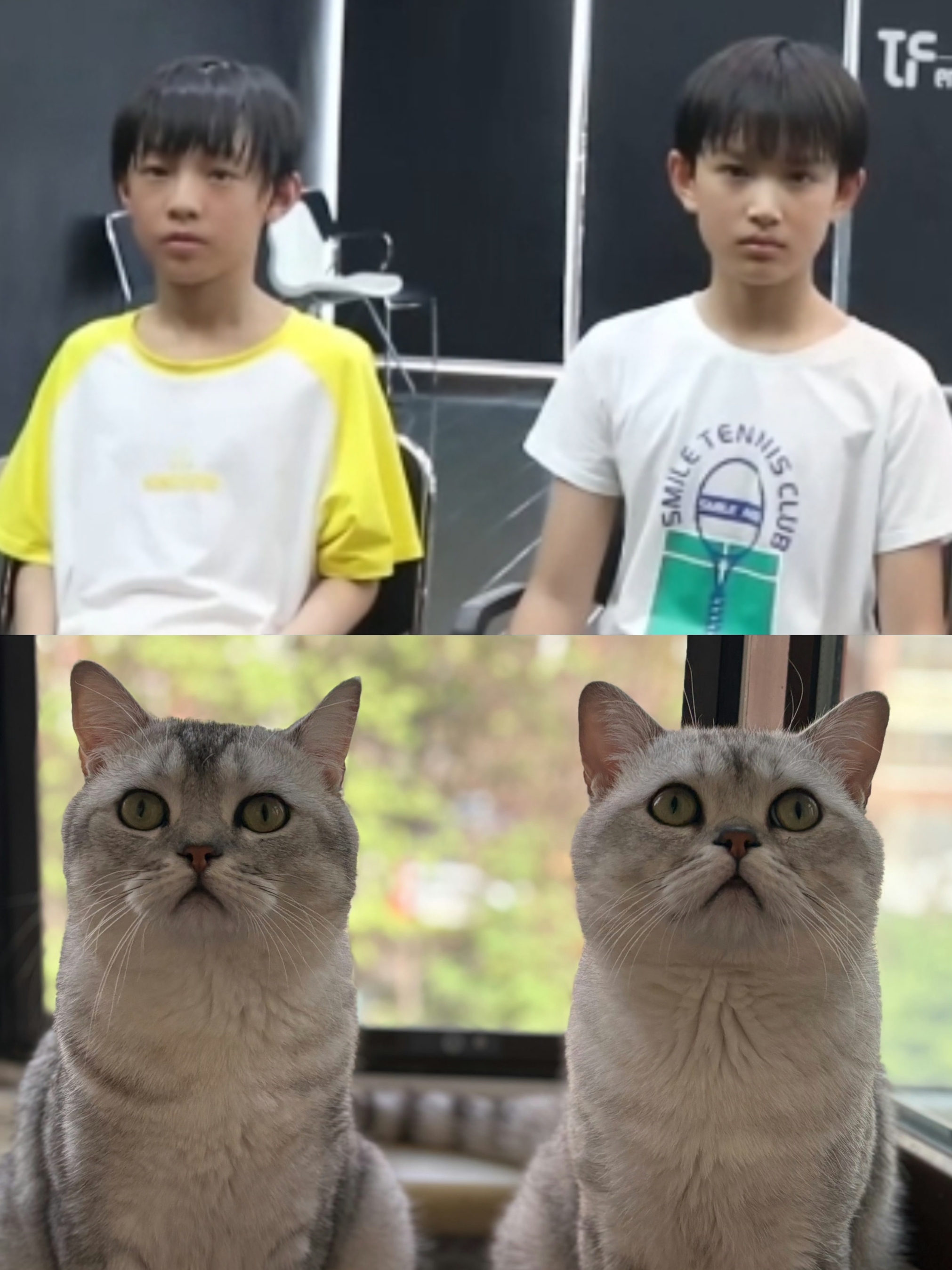还有参考文献 其实还是很萌吧