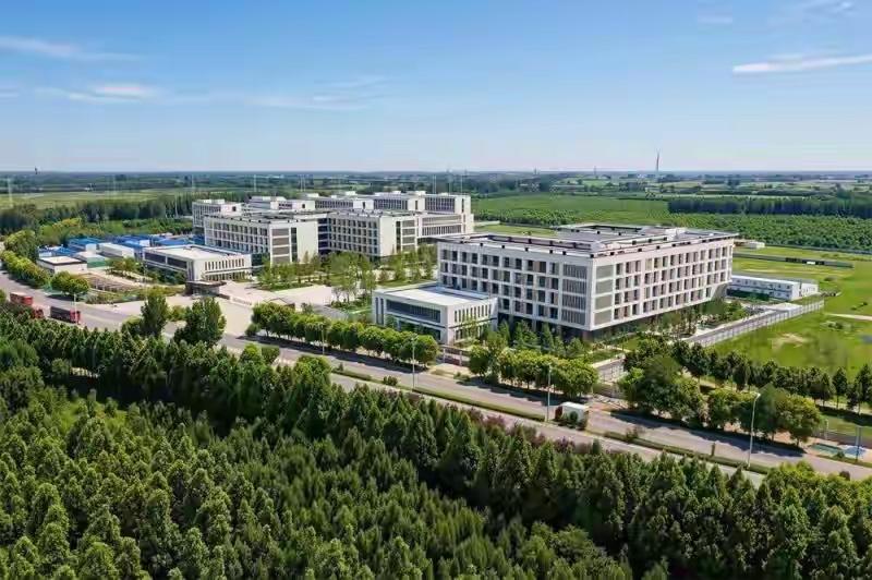 【河北辛集首所高校正式揭牌，紧扣当地皮革产业发展开设特色专业】6月21日，辛集应
