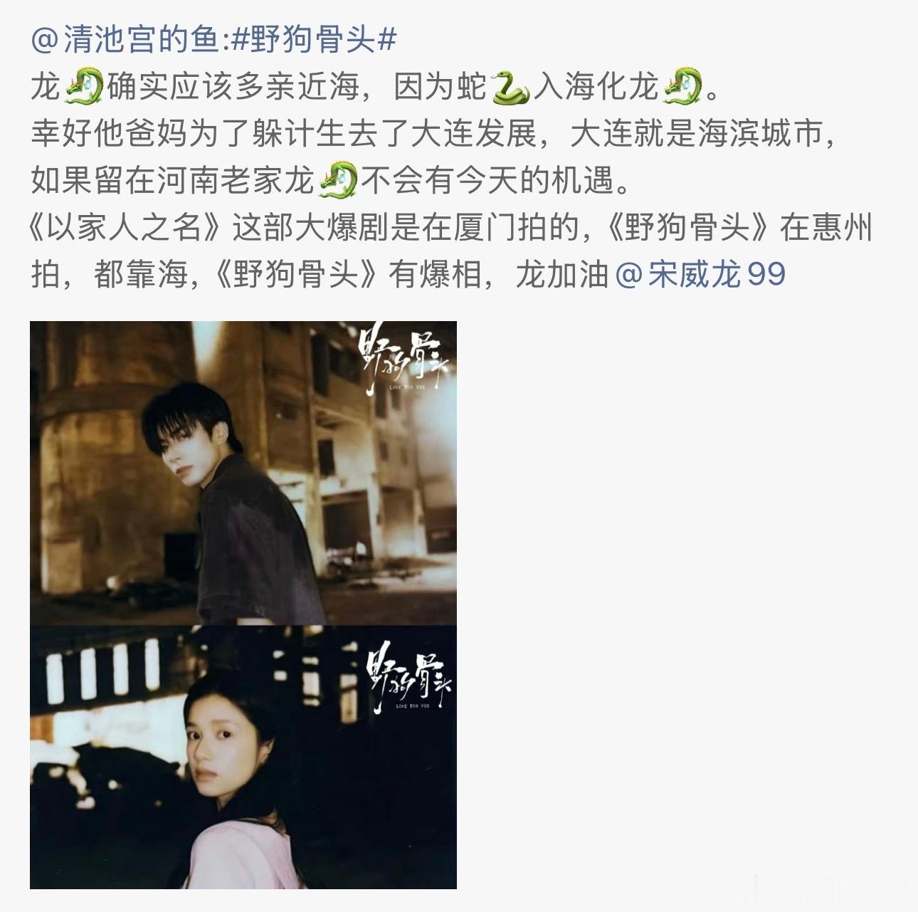 宋威龙现偶从无败绩就像看好《骄阳似我》一样我也一直看好《野狗骨头》，播出效果一定