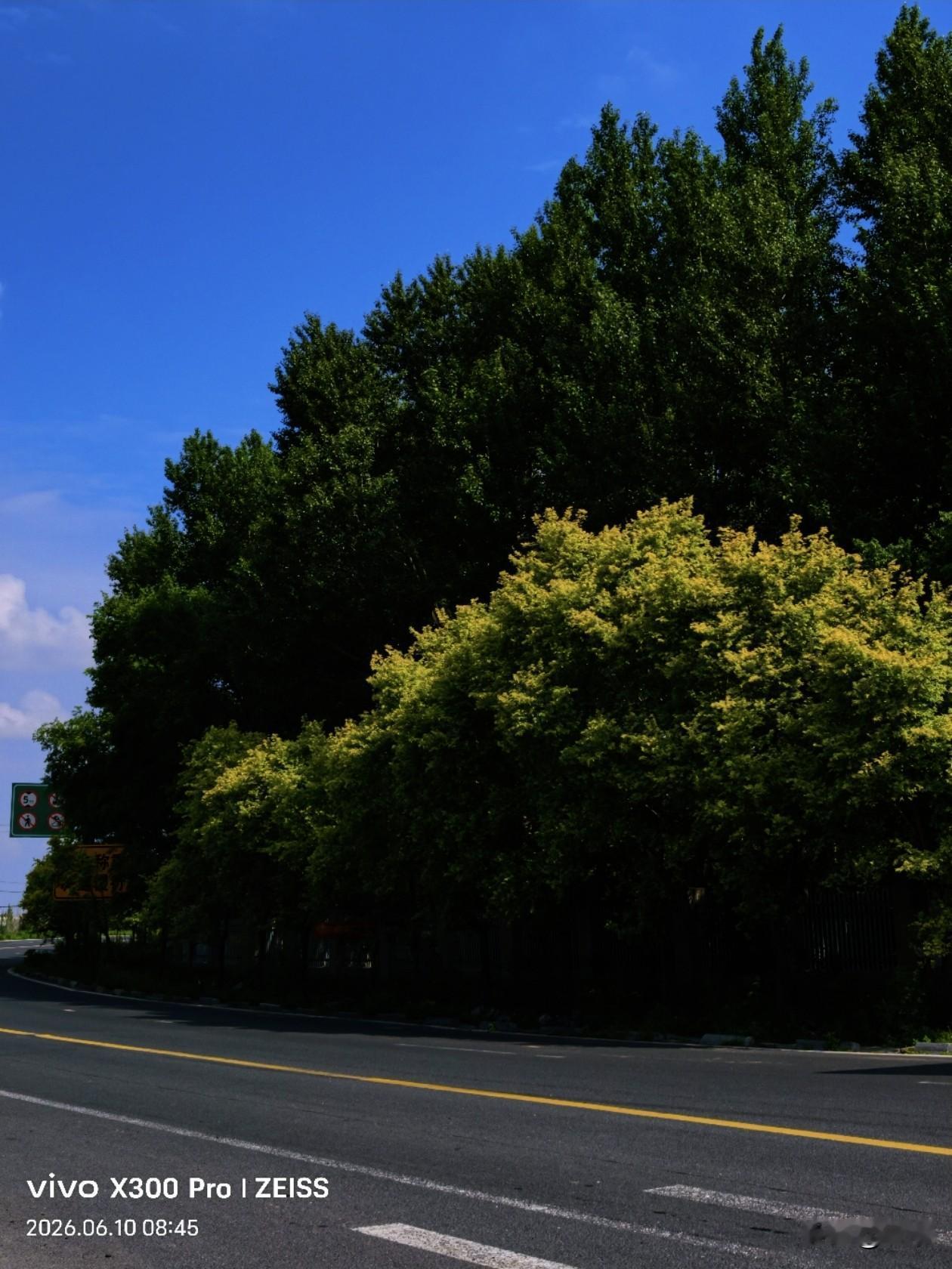 高速路口的景色随手拍。
随手拍下夏天的美景 随手拍美丽景色⚡😊
😊⚡