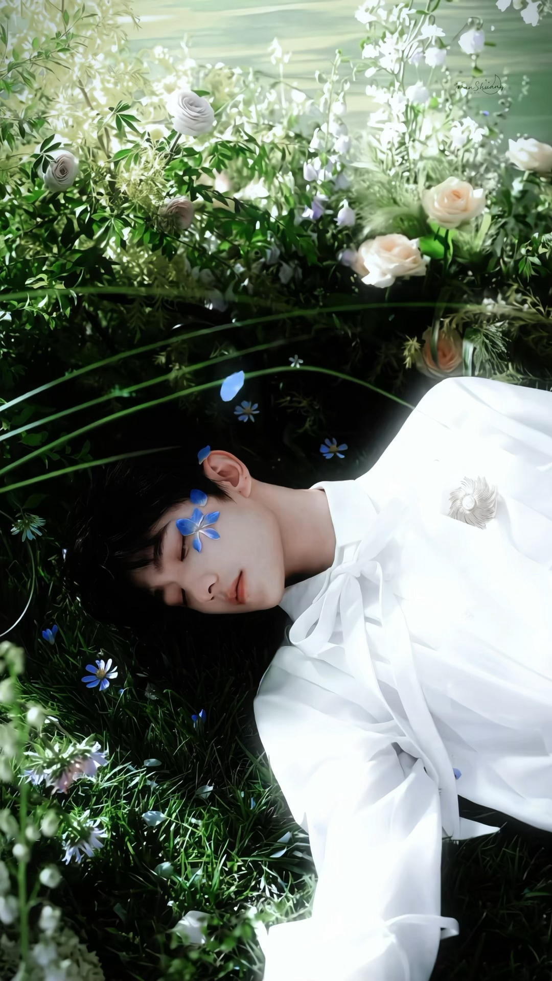 「 万物生 」 · 杨洋🍃 ​​​