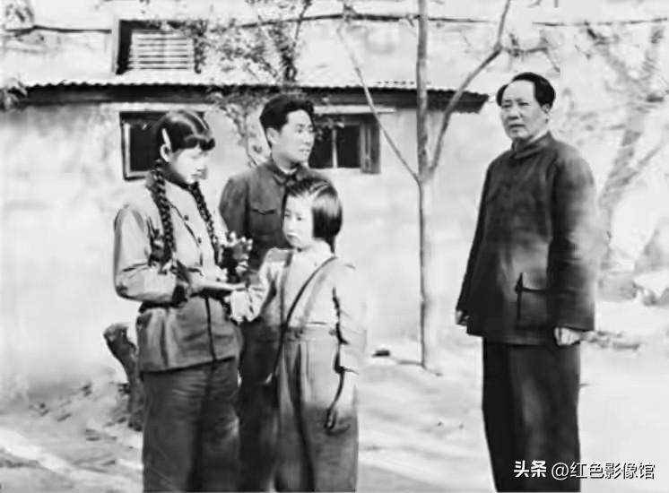 亲情无限