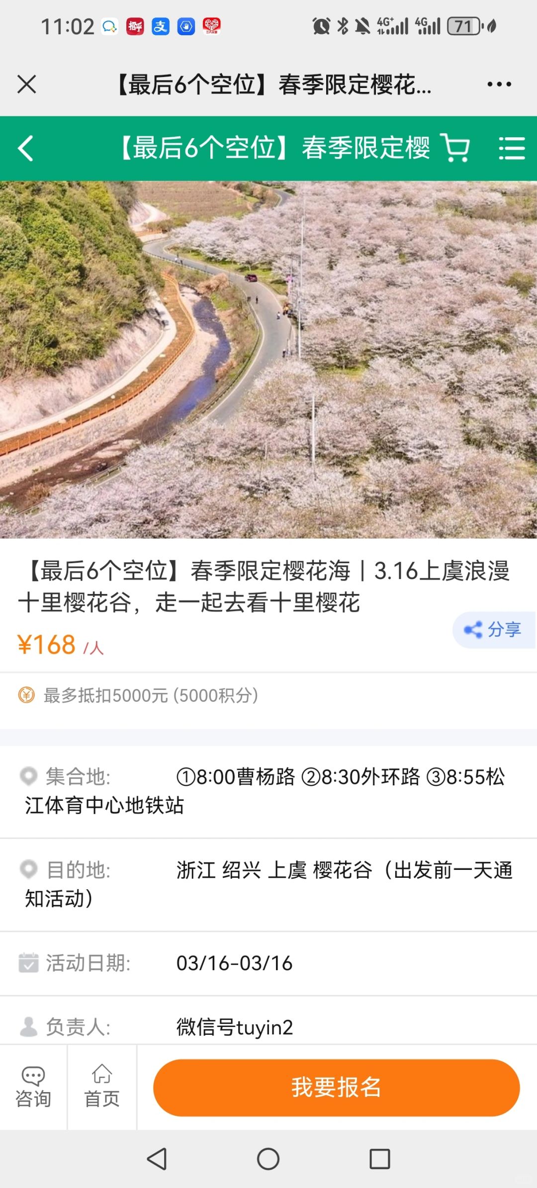 徒步收藏夹｜这片野生樱花林美翻了