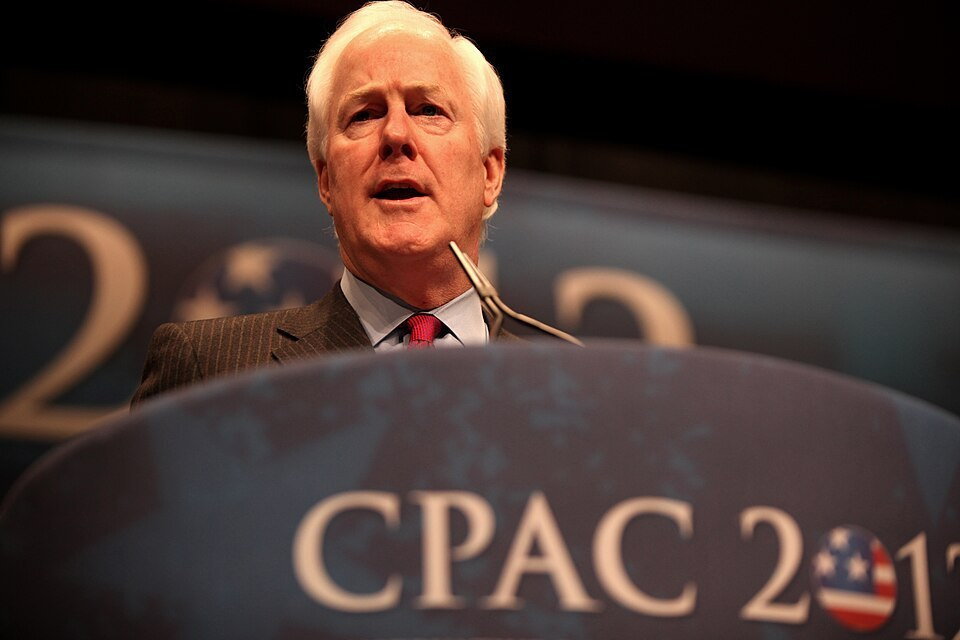 被MAGA赶下参议员位置和德州共和党要人科宁，预言特朗普最后两年将“痛苦不堪”纽