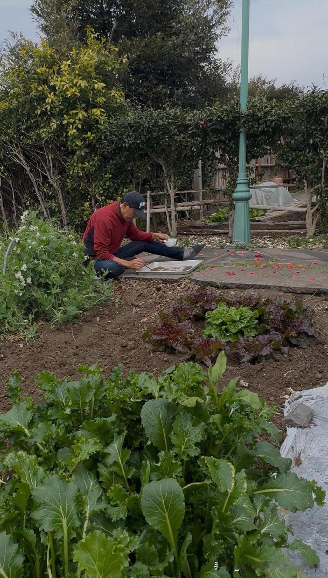 2026年4月2日，断食第一天。上午小院里干了点农活，中午开始有饥饿感，回屋躺了