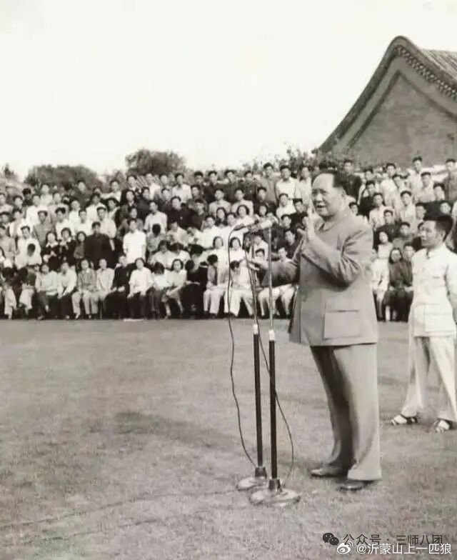 【七律·醒世铸魂】七律·醒世铸魂巨手开天醒万民，扫盲更铸骨中魂。剖明霸贼豺狼性，