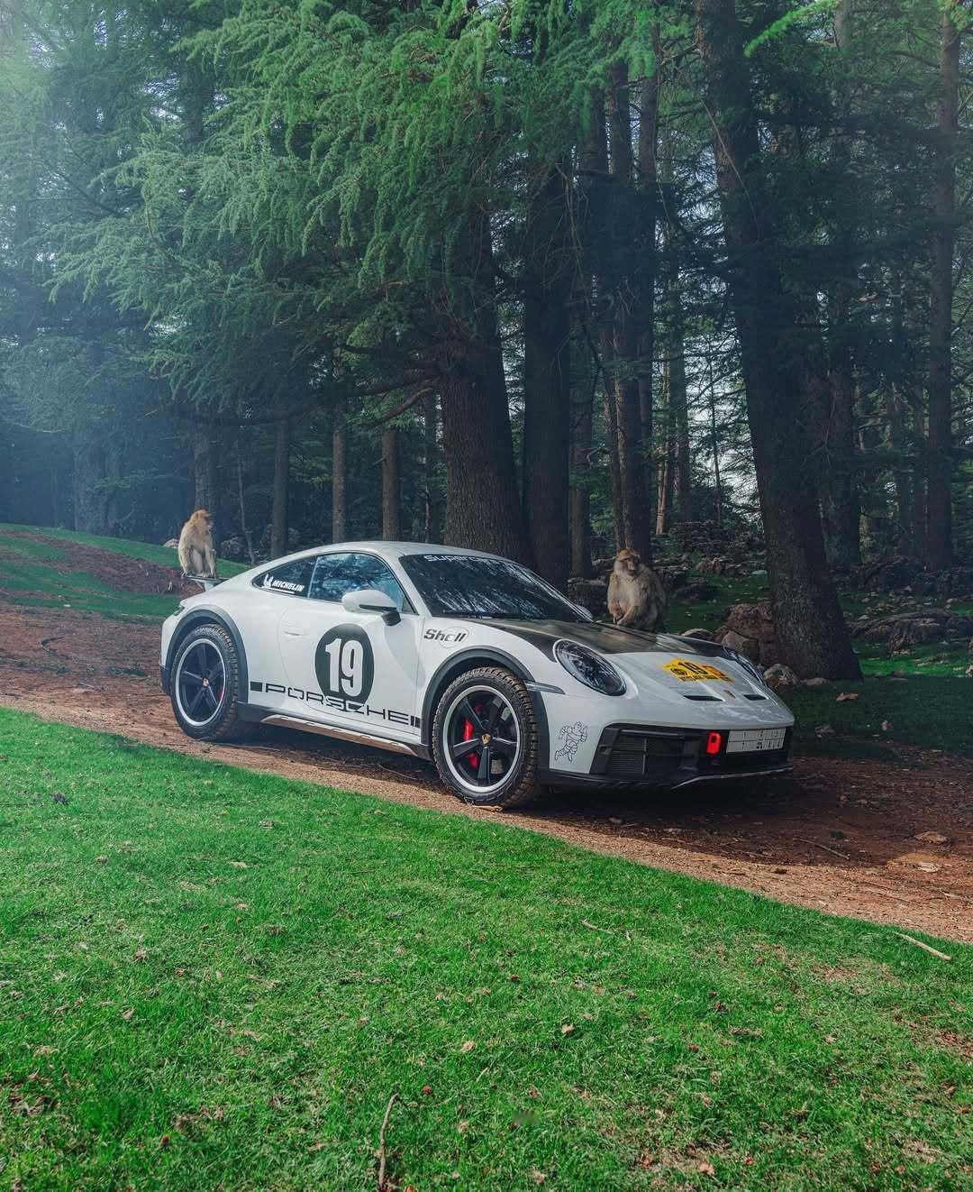 Porsche 911dakar ​​​