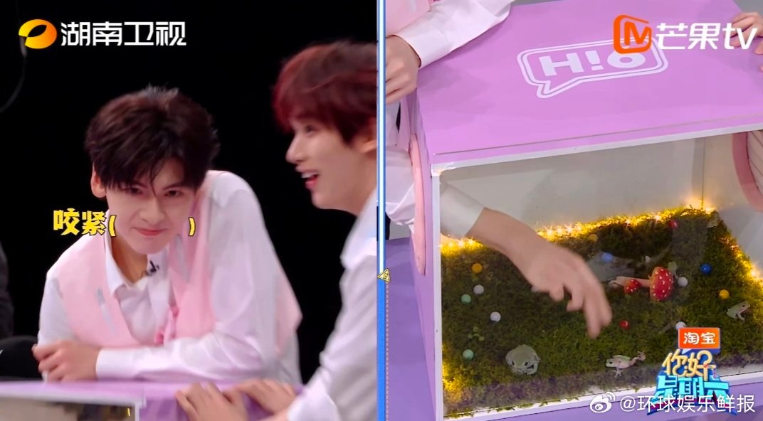 翟潇闻不语只是一味地捡球翟潇闻后槽牙都要咬碎了你好星期六 你好星期六胆量挑战，即