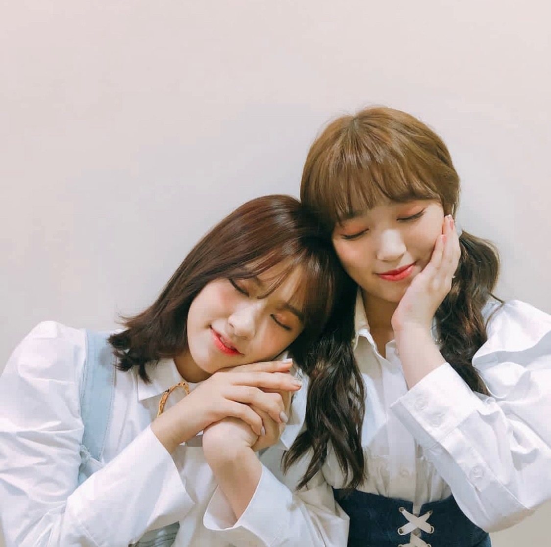 IZONE[超话]  看来是拿锅更高🧐安宥真矢吹奈子 ​​​