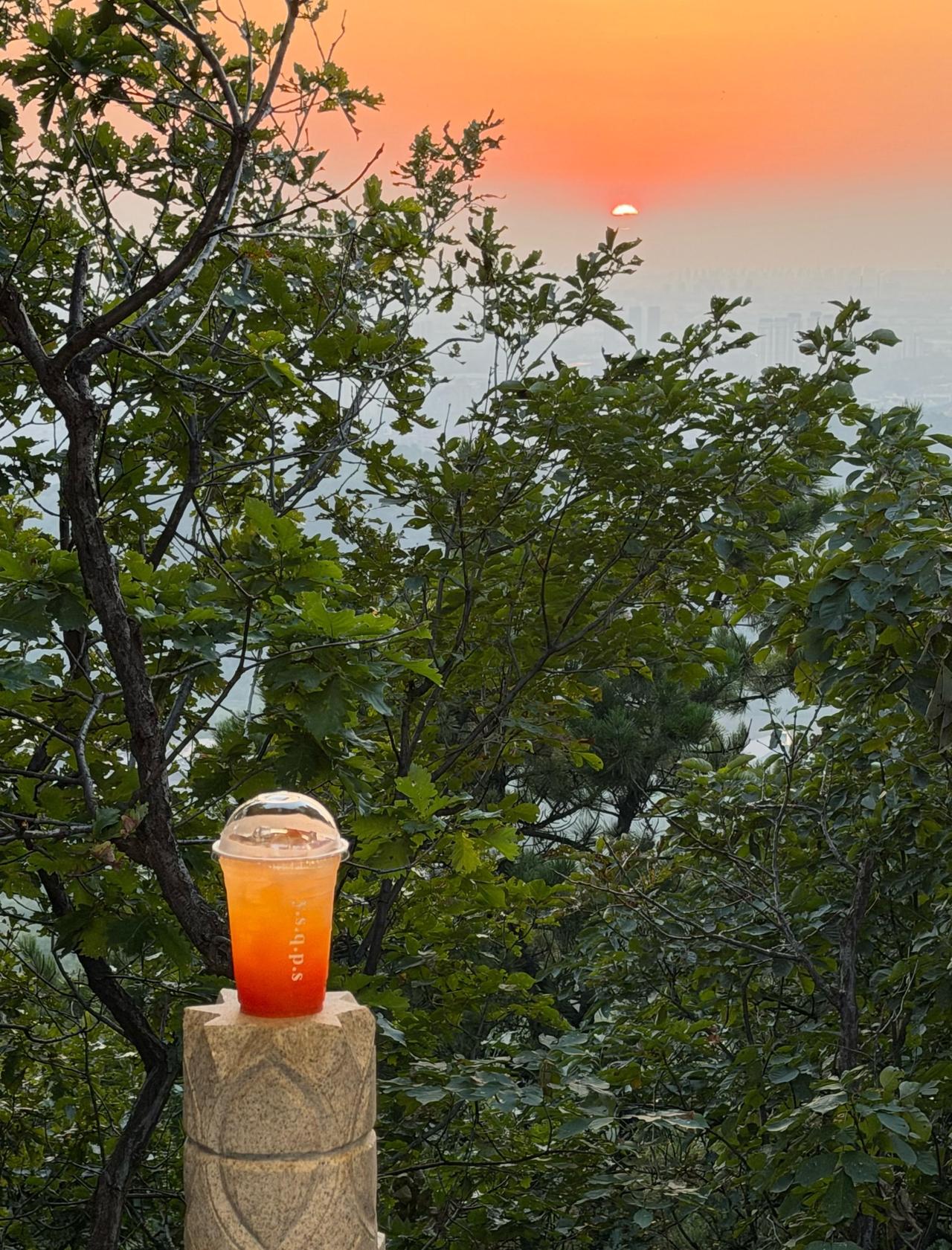 周末山里吸氧 ⛰️
无意间发现超适合看日落的地方
搜索棋盘山—天缘台 跟随指引一