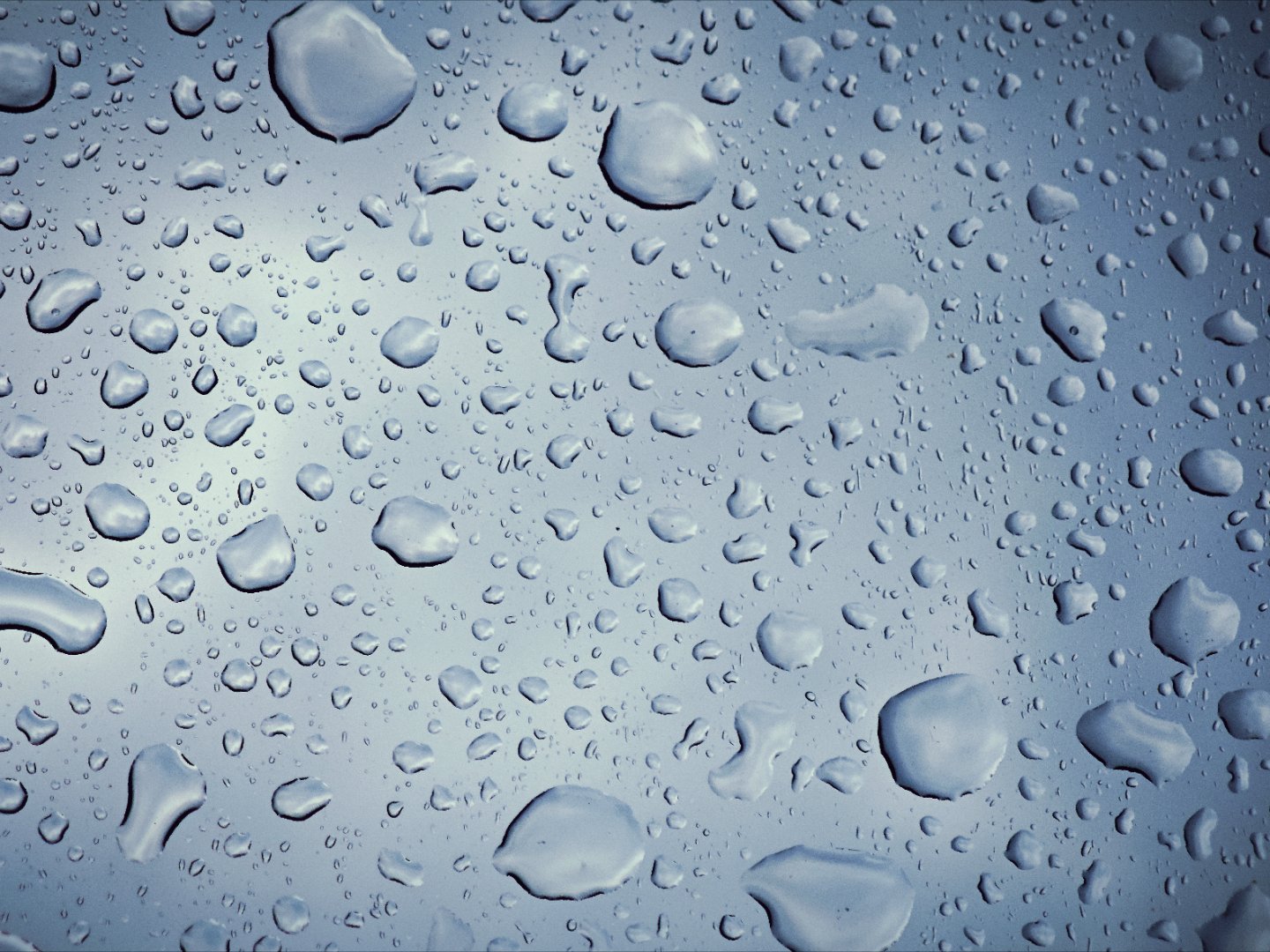 北京突然下起了雨，坐在埃尔法里胡乱瞎拍一下[doge]#你的下一台车##瞎拍影集