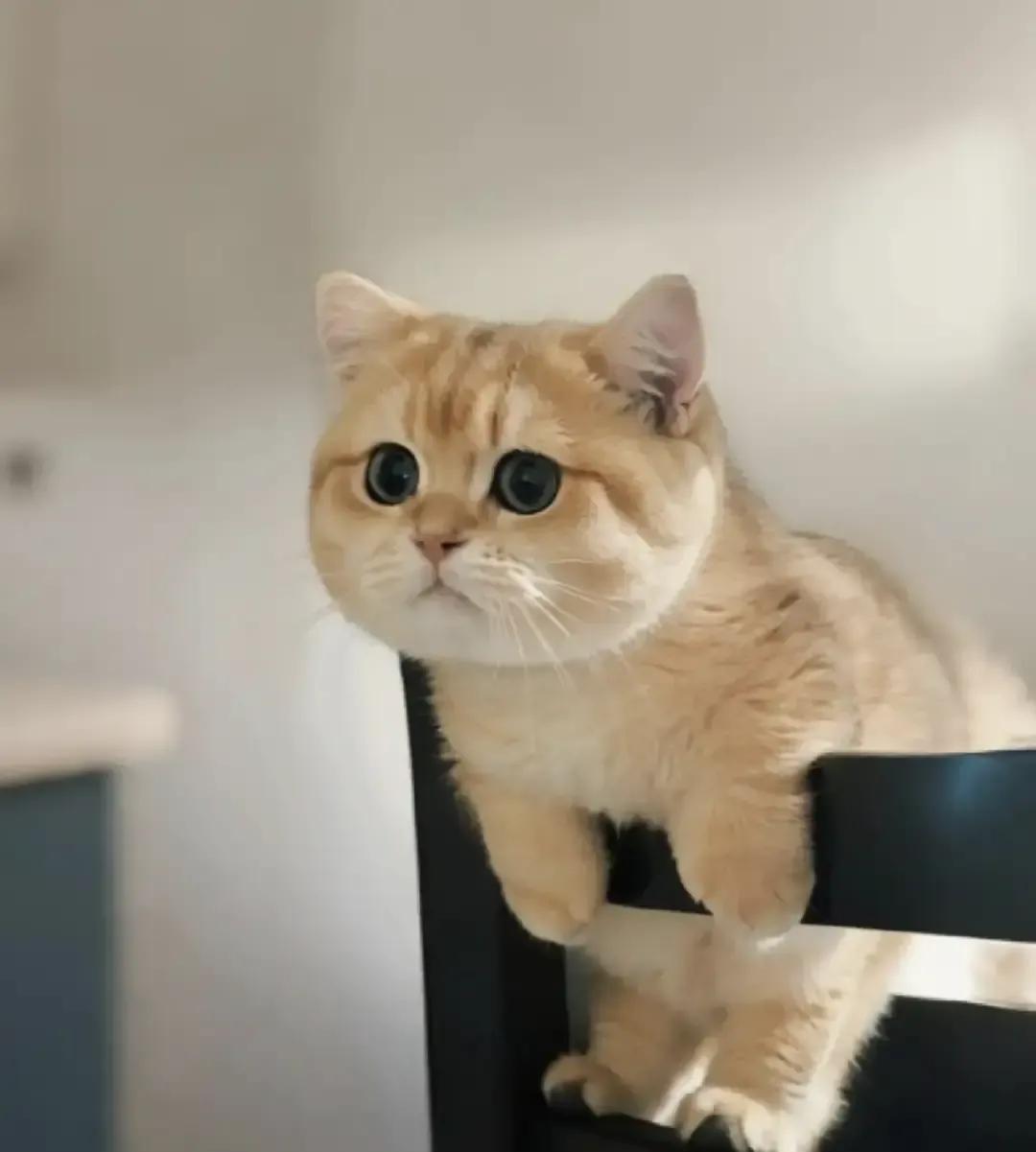 网上突然冒出个“让女人动情的男人三件套”：嘴甜、接情绪、靠谱还热爱生活。
我刷到