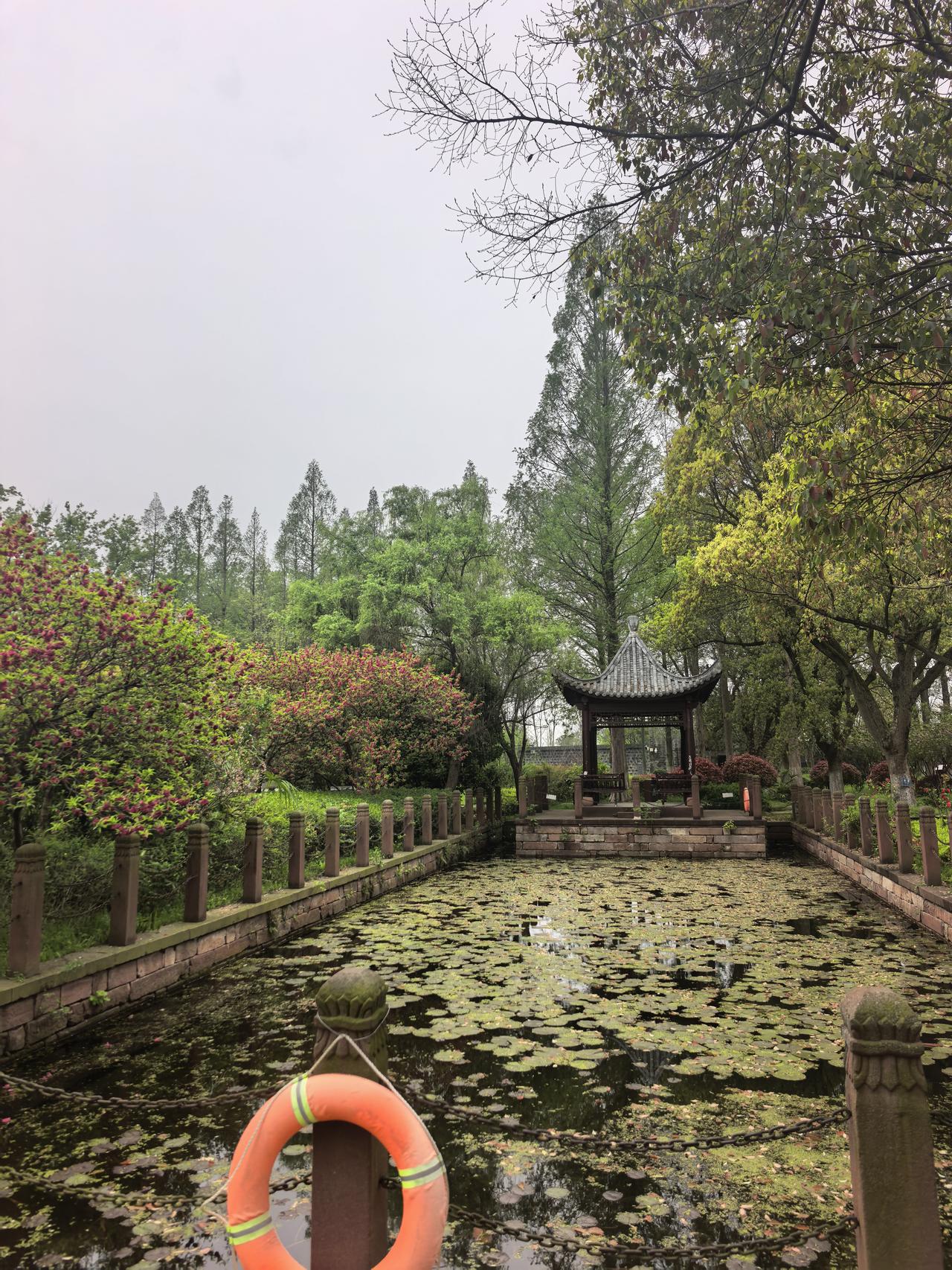 真的是人间最美四月天，值得我们去旅行，打卡，然后拍照！挺好！