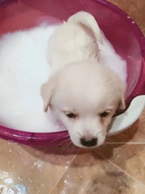 萌呆爱读体育