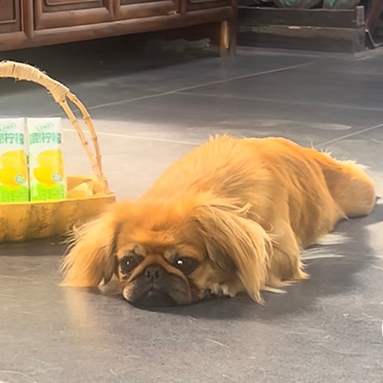 钉妹拍摄现场也太可爱了🥺 