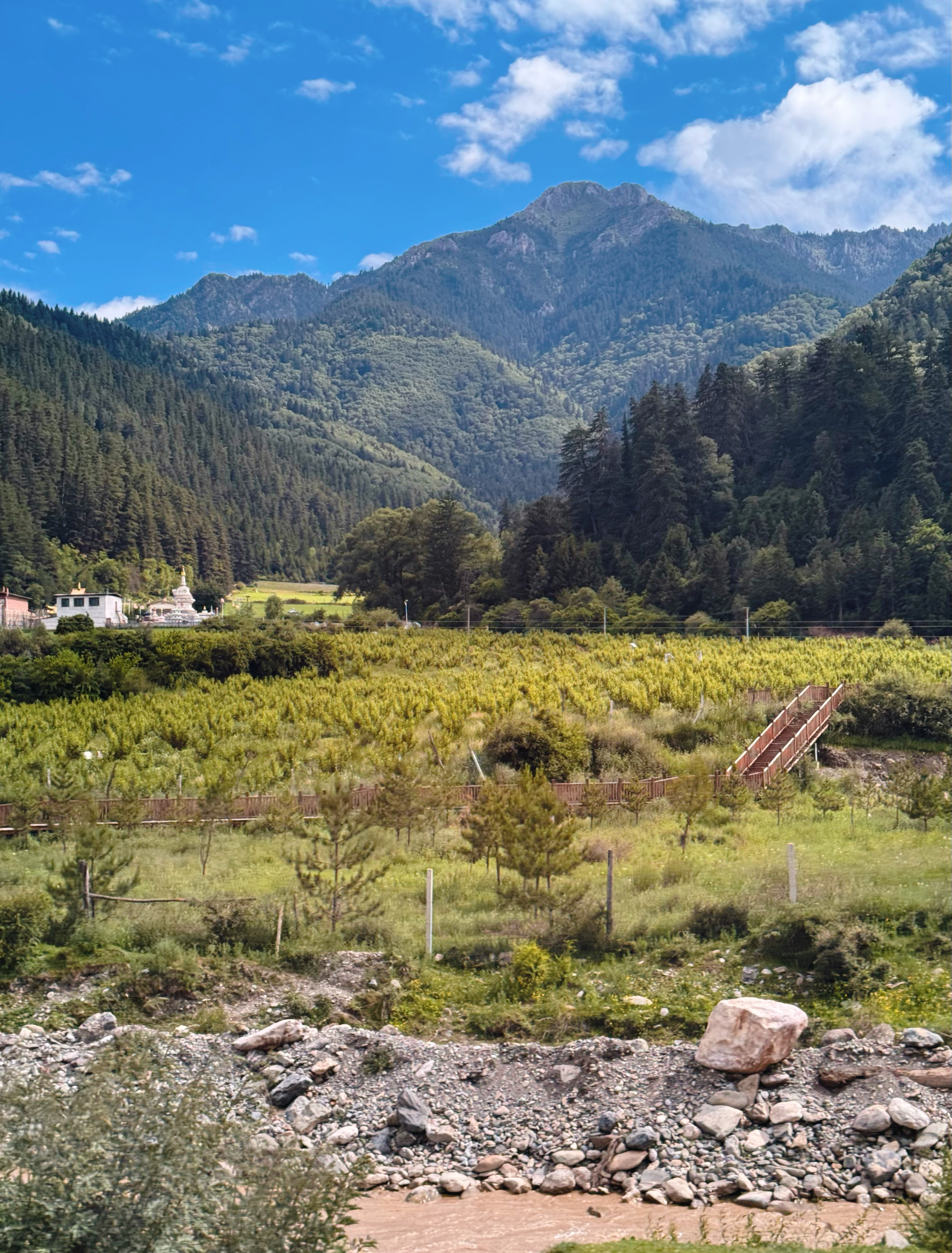 📍 Switzerland 🇨🇭“总要去一次瑞士叭” 阿坝·若尔盖