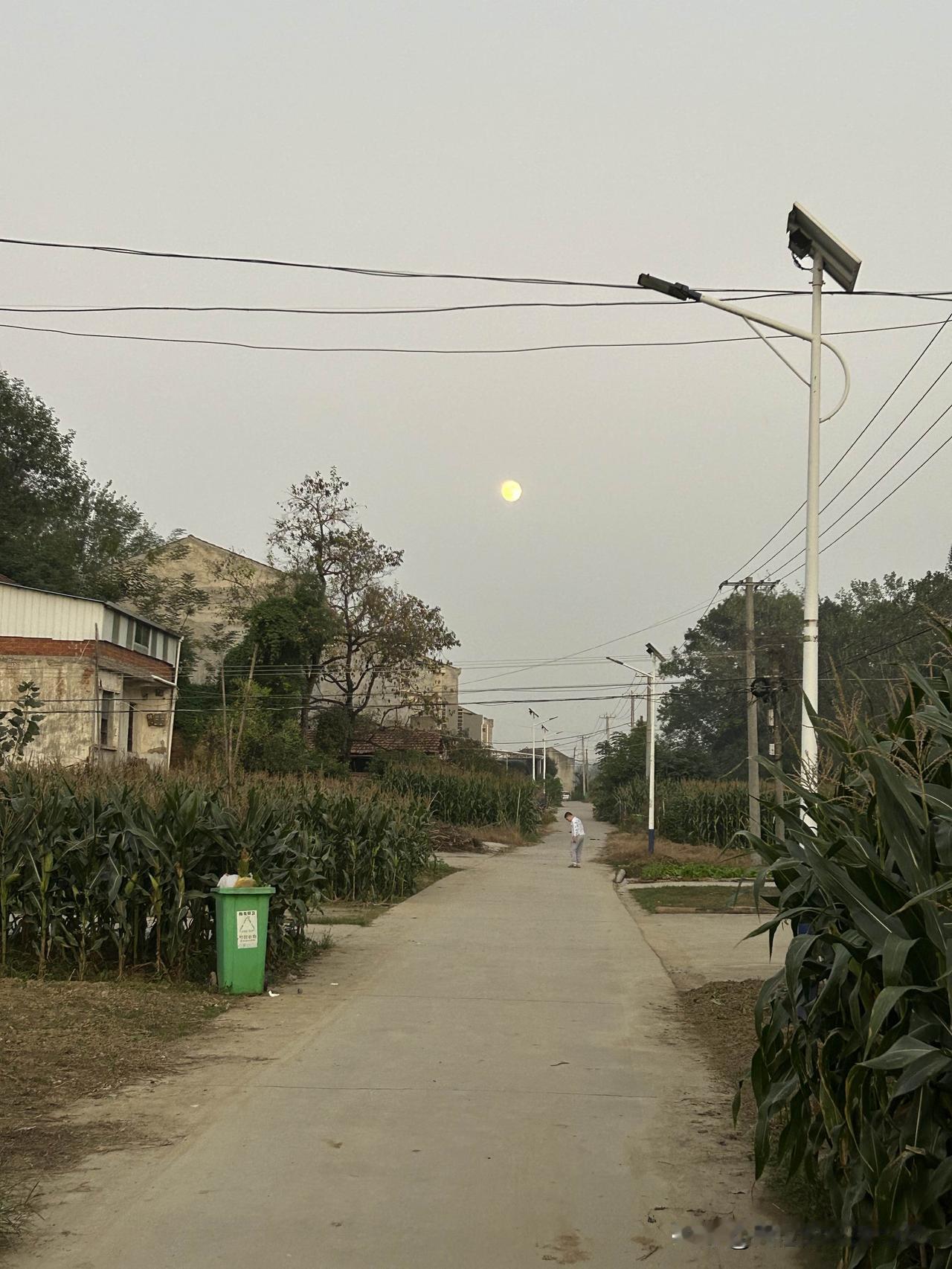 【阮郎归·花好月圆】
暮春庭院绿初攒，牡丹凭画栏。
归燕穿帘语画欢，妆台整翠鬟。