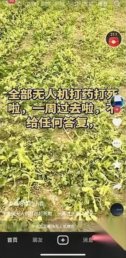 最近刷抖音

越刷越心凉

你猜刷到啥糟心事？全是无人机乱打药的爆料，竹子整片被