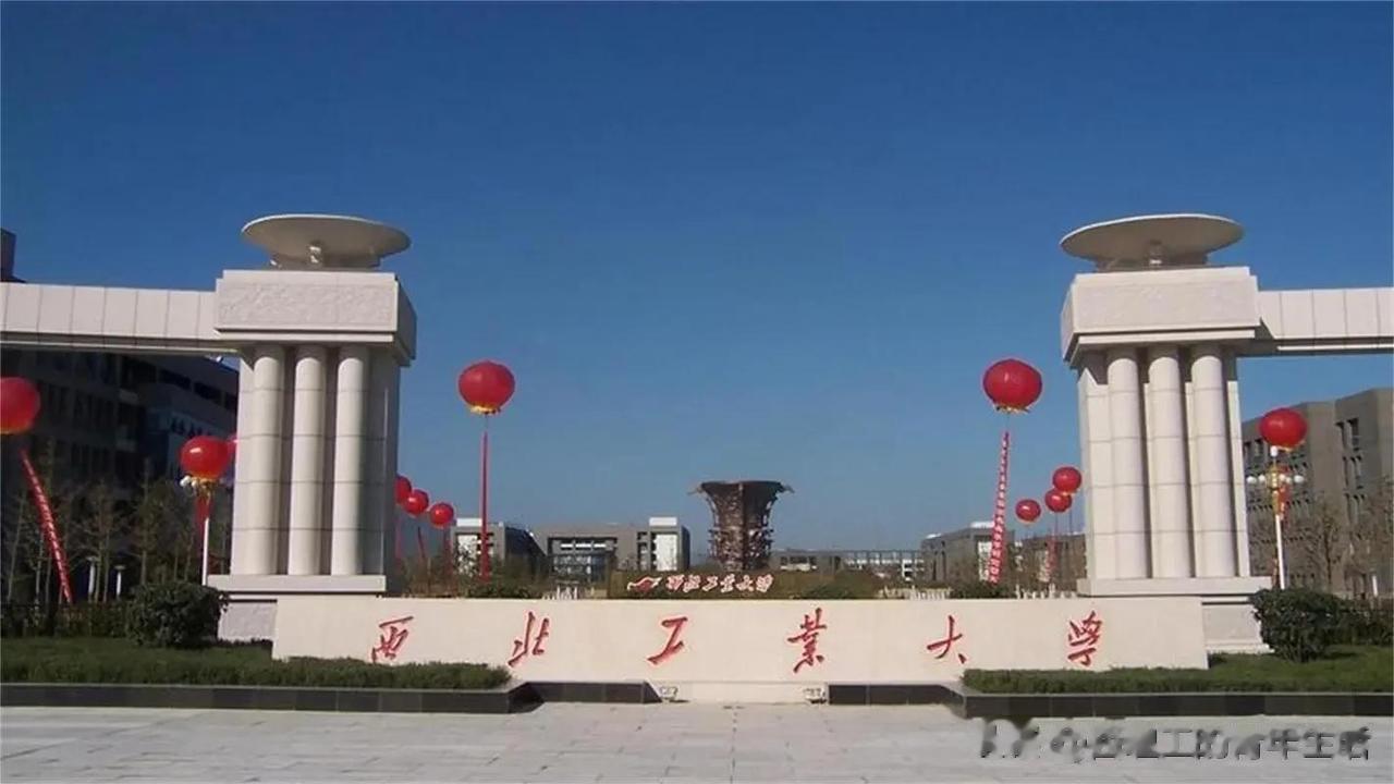 “太值了，花20万进西北工业大学”，一位浙江的妈妈说，儿子从小到大补课就没停，高