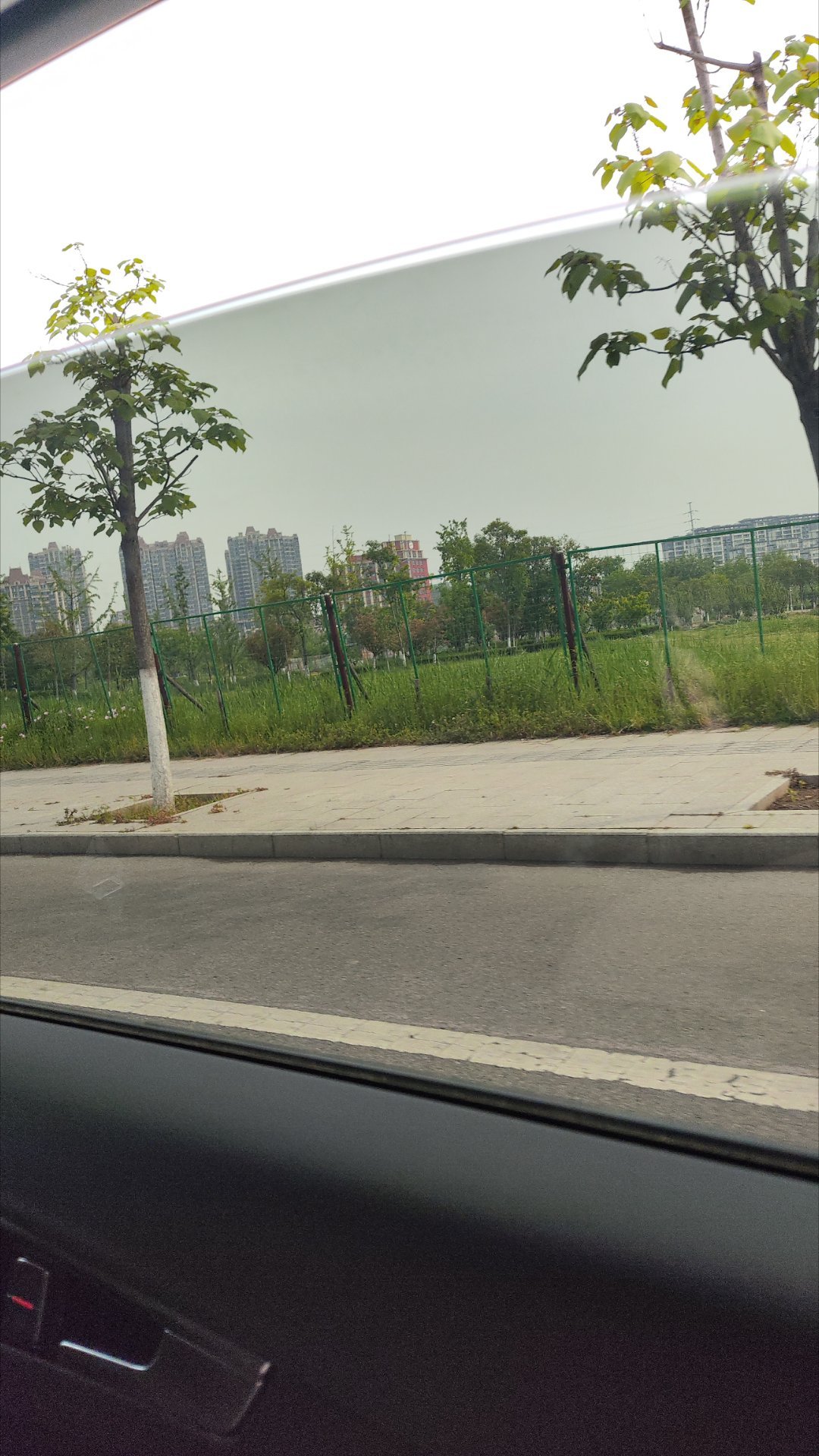 带小猫咪去打预防针天天要出门，今天在出门就喵喵的叫不是想出门吗