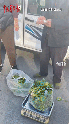 太暖心了！近日河北唐山，老人正在街边卖菠菜，刚要把菜卖出去，突然冲出一位女子大喊