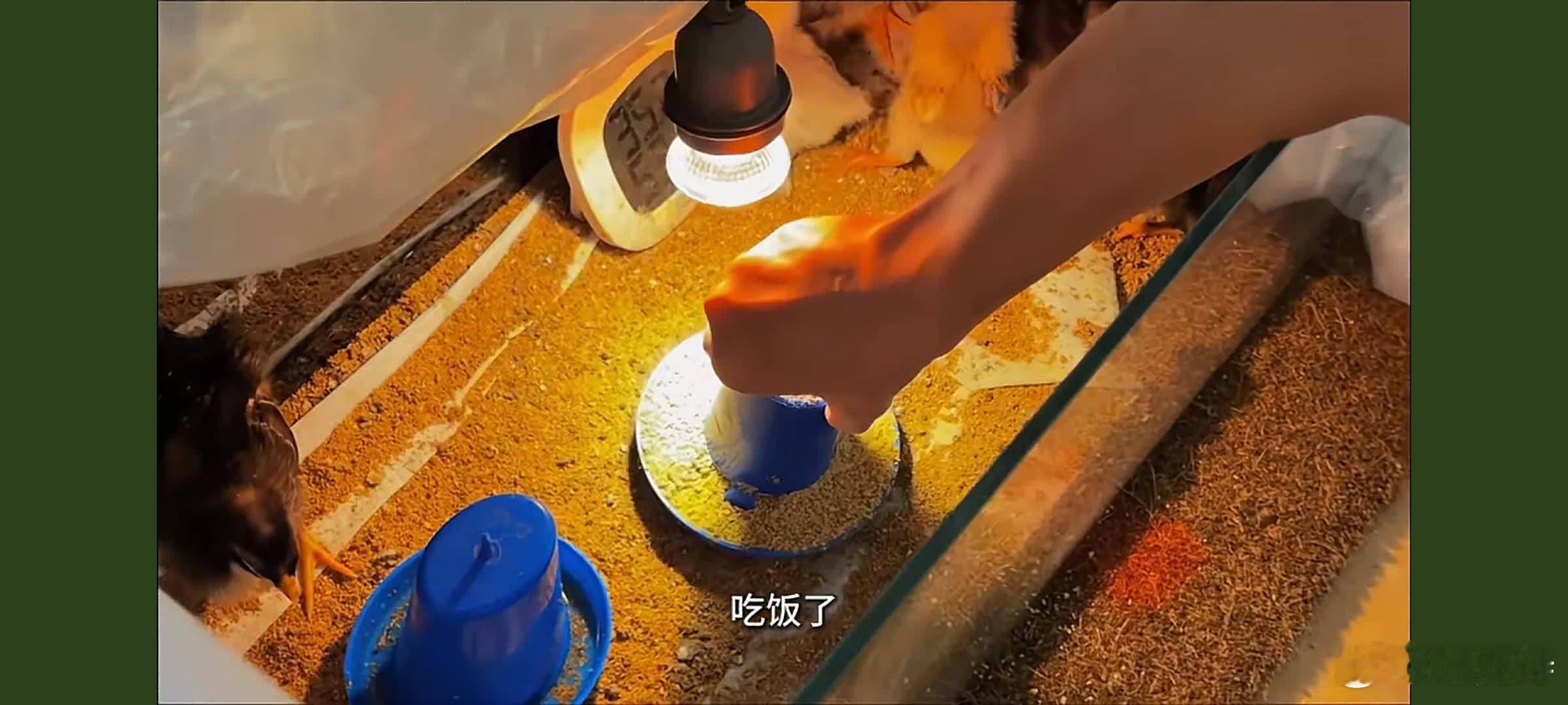 真是没想到，郑恺居然娶了这么一个宝藏老婆。  最近才刷到苗苗的视频，才知道她是郑