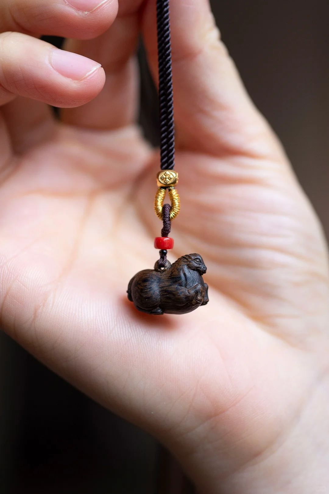 让我们＂以梦为马，不负韶华＂🐲🐲🐲