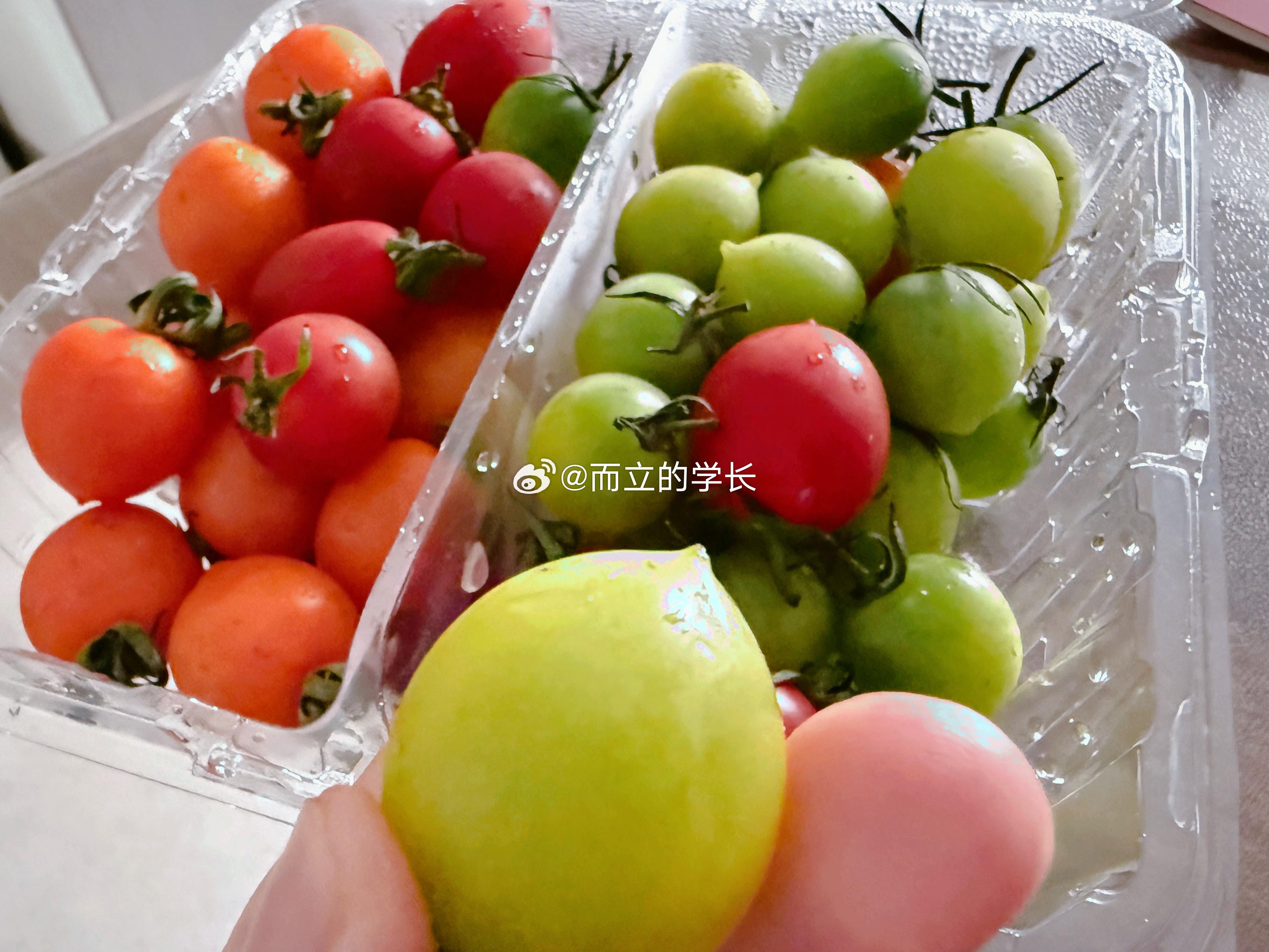 午餐 就是这巨甜巨好吃的小柿子 