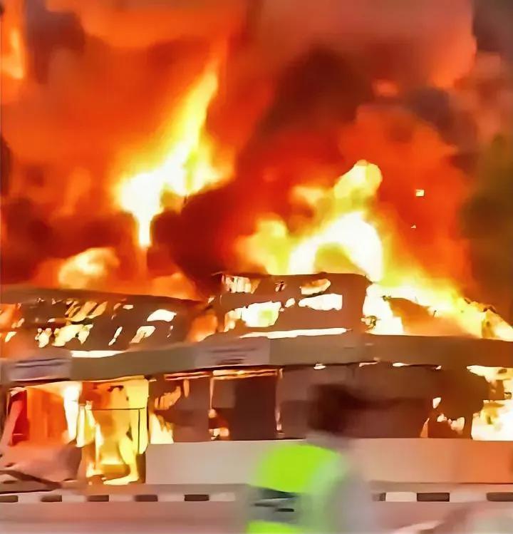 本以为花钱请了个保镖，
没想到保镖天天出去跟人干仗，
结果仇家直接找上门，把家都