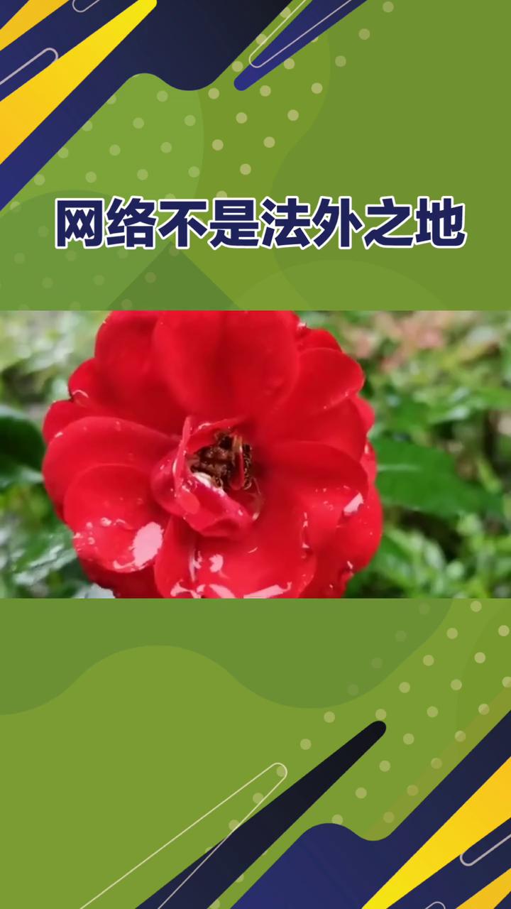 网络不是法外之地。
家人们，刚刚突发重磅消息，全红蝉遭网暴案尘埃落定，大快人心。