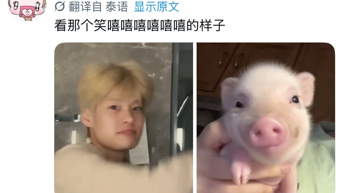 🐽 