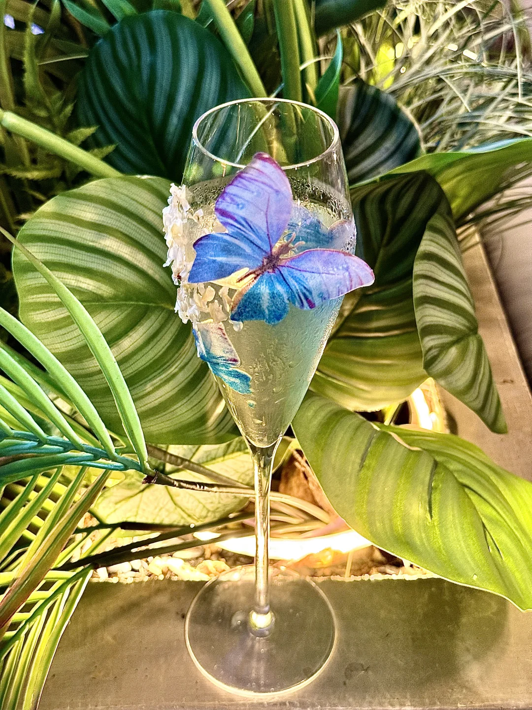 近日南京喝到的漂亮酒🦋➕1