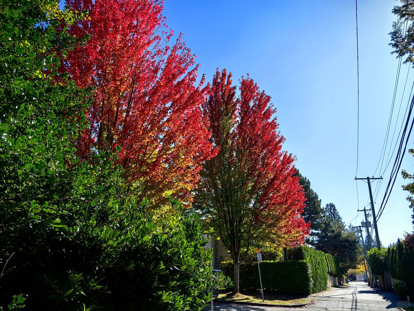 海淀人的心思不一般
