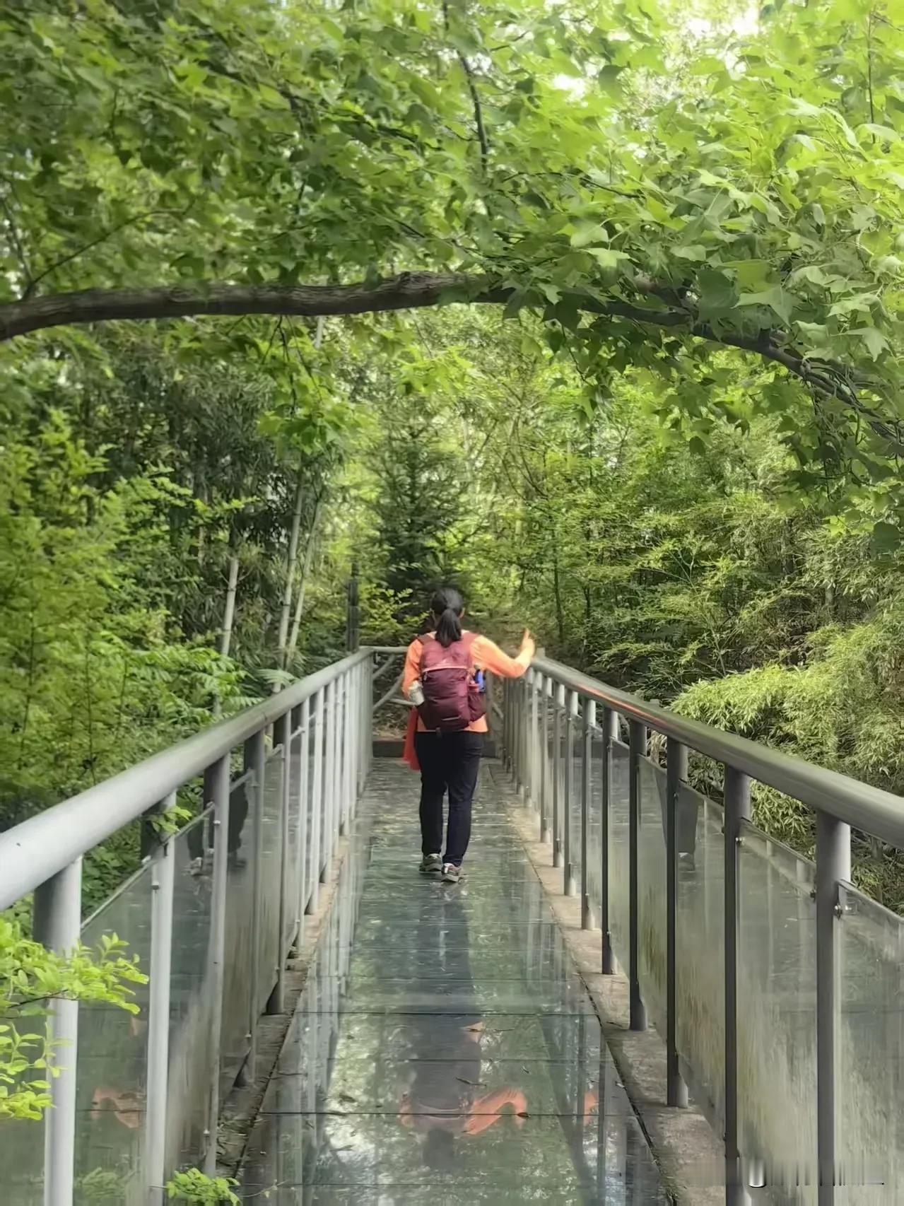 有时候觉得上海的一些人真的很任性。经常在徒步旅行中总会遇到一些奇葩的上海人。

