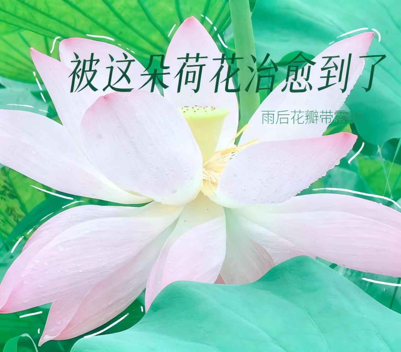 治愈系风景分享 创作者中心 创作灵感 创作者扶持计划 一汽大众帮你实现雪糕自由
