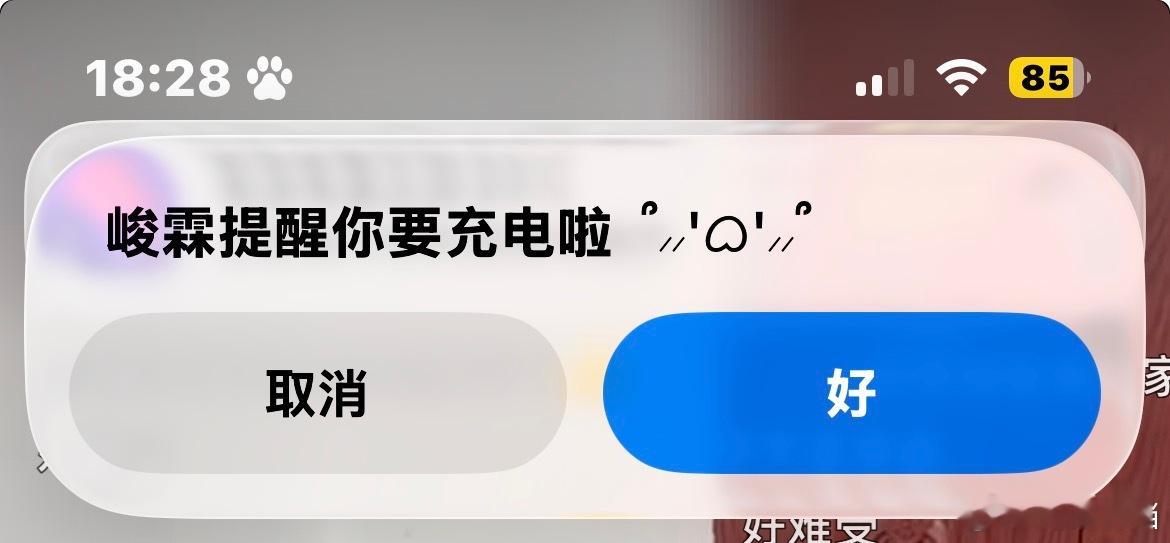 救命 所有人向我看齐 