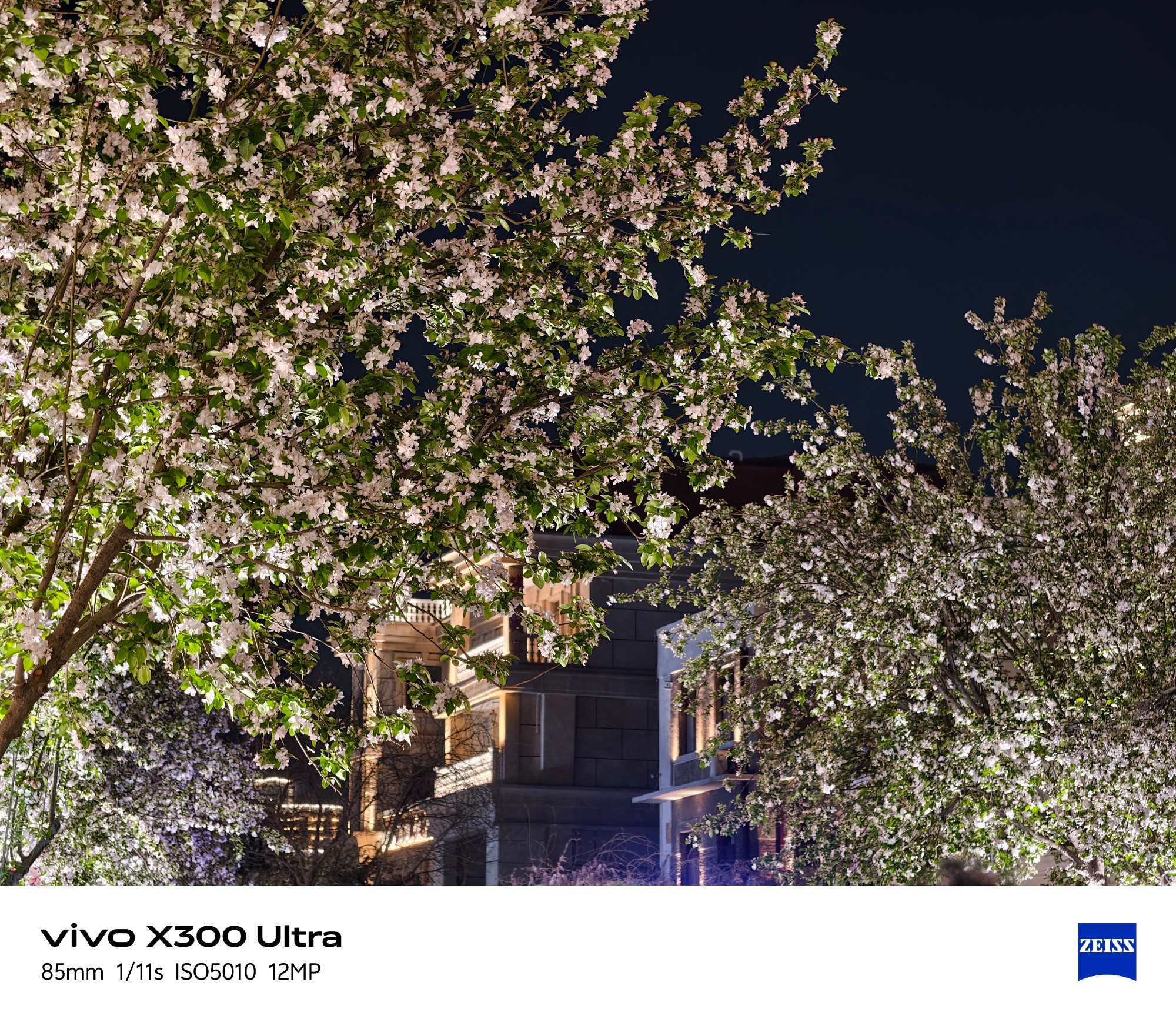 vivo X300 Ultra vs X200 Ultra两代影像旗舰35mm夜