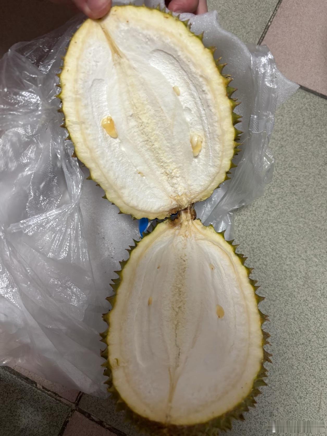 这个巴掌榴莲就是报恩榴莲好吗？而有的榴莲是报仇来的……
