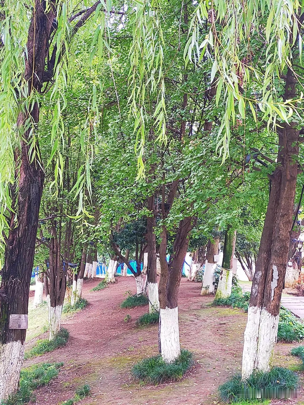 上联：无厌夏蝉无厌雨，如何对下联不烦秋霜不烦风