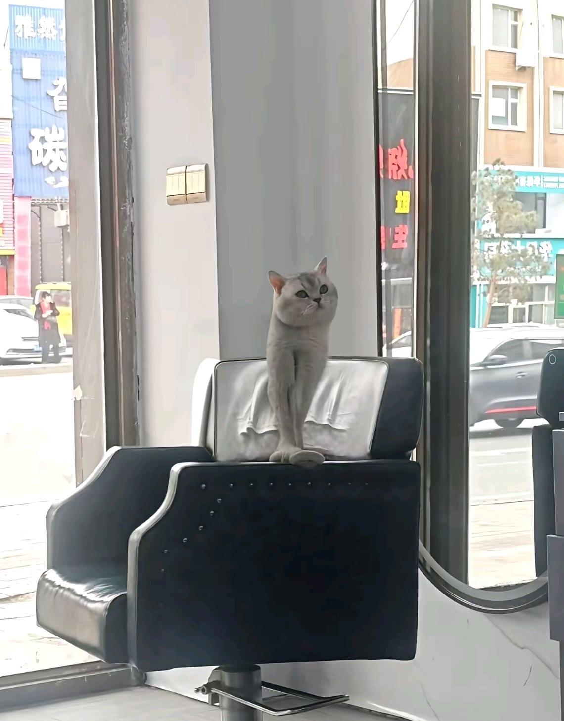 ？？？哈基米？？？ 